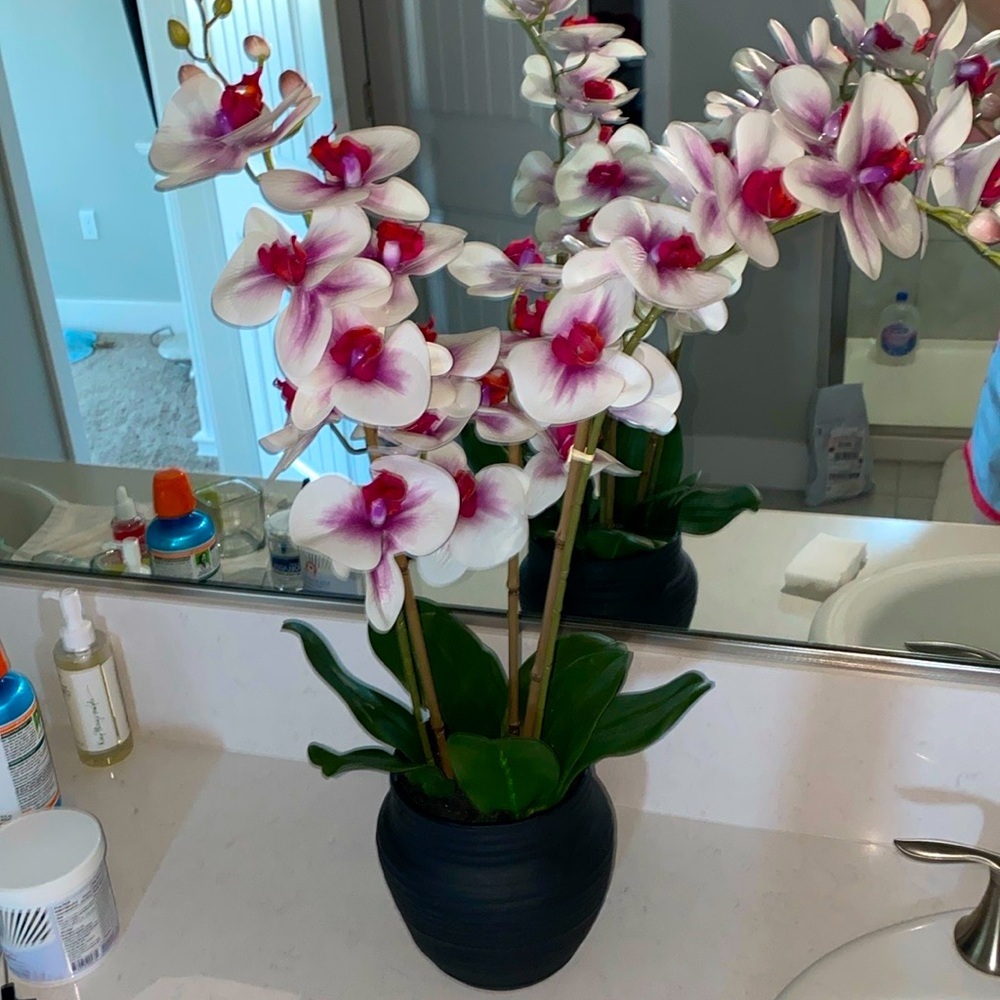 Orchid Plant Luxury decorative flowers with Pot Home Decor Light Pink